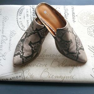 Dolcetta snakeskin mules